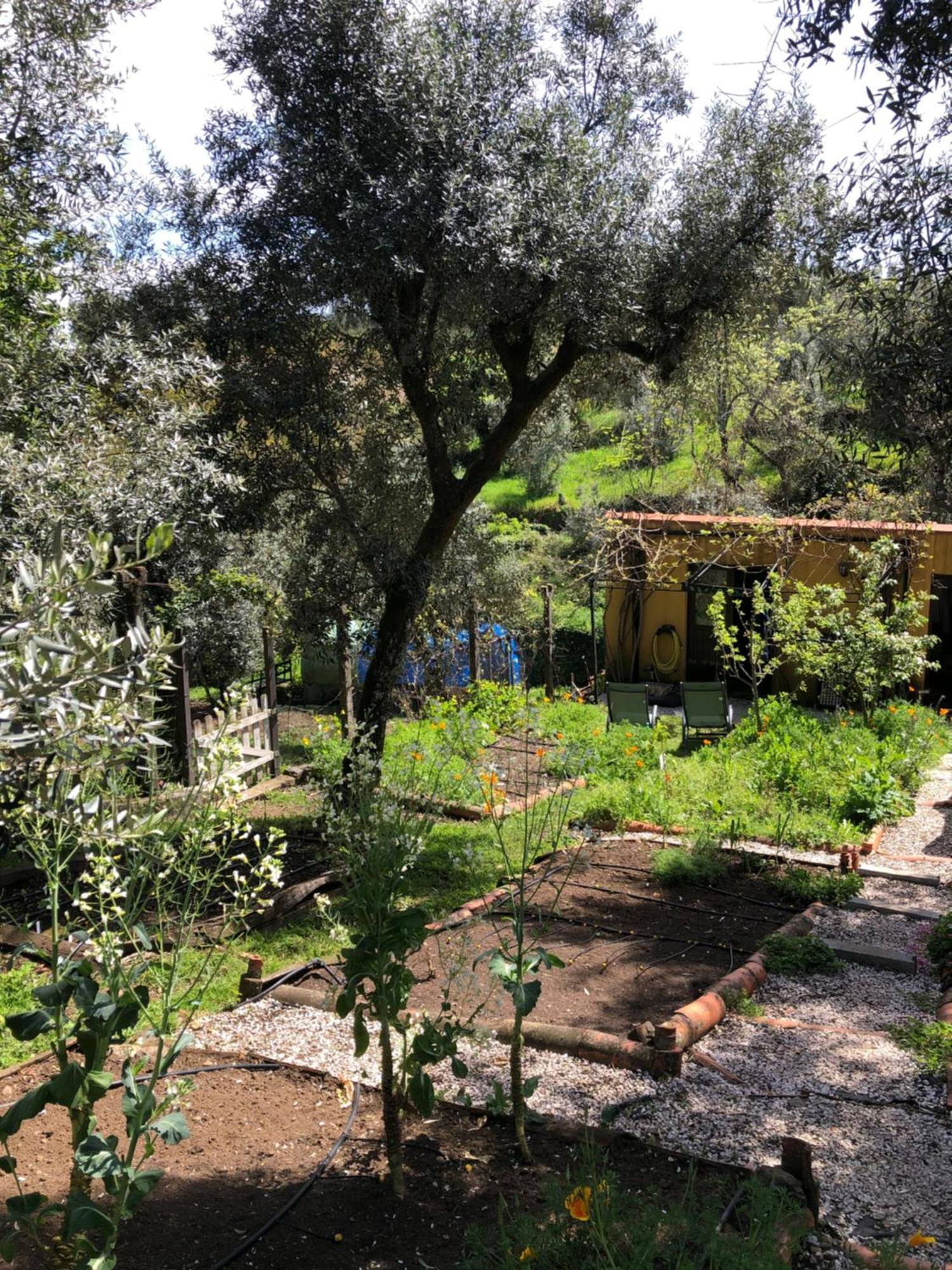 House Of The Three Marias Bed & Breakfast Pedrogao Grande